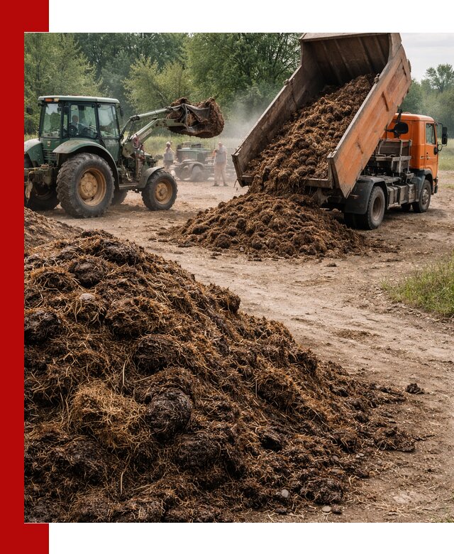 Доставка навоза самосвалами в Елизове для сельхозпотребностей